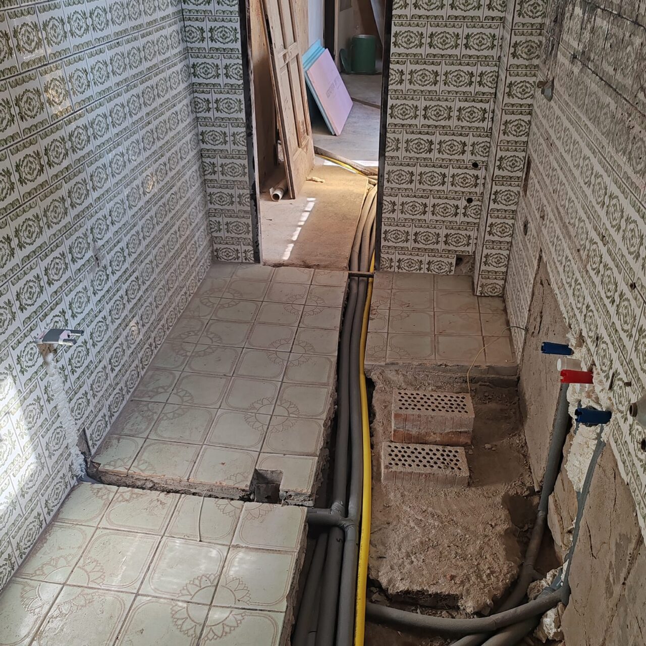 474622981_122204559014193940_9164816440682255441_n